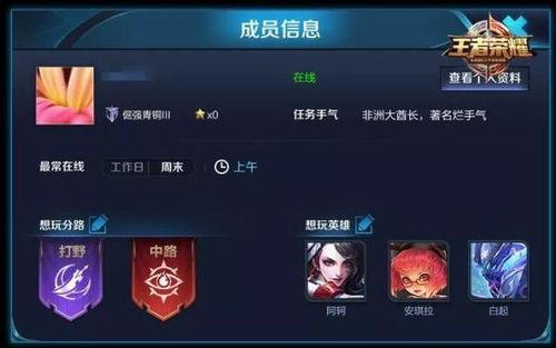 王者权威爆料视频大全下载,视频大全下载背后的精彩瞬间